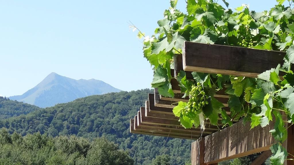 Gites Pyrenees Les Trois Montagnes Ganties Pokoj fotografie